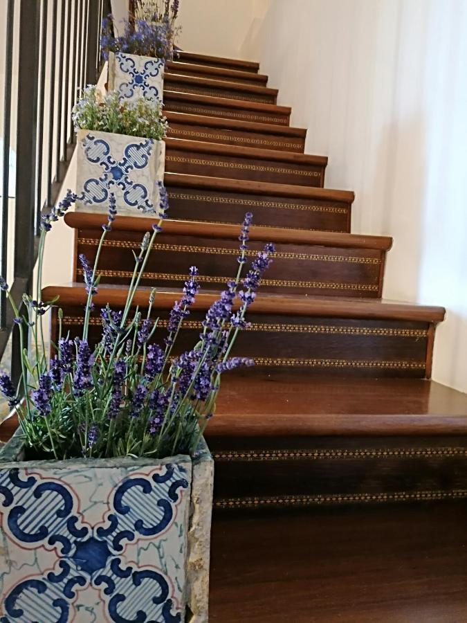 B&B Villa Teresa ソレント エクステリア 写真